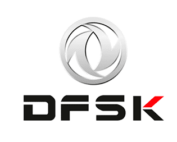 dsfk logo